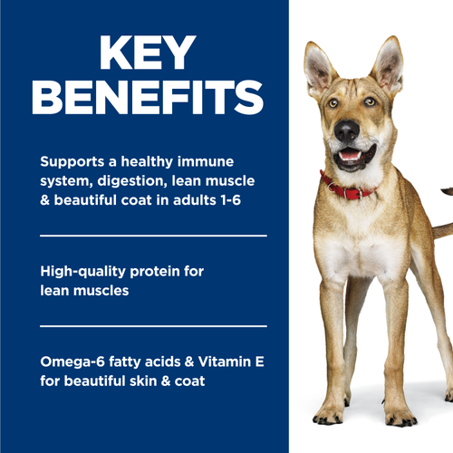 Hill's Science Diet Adult Beef & Barley Entrée Dog Food