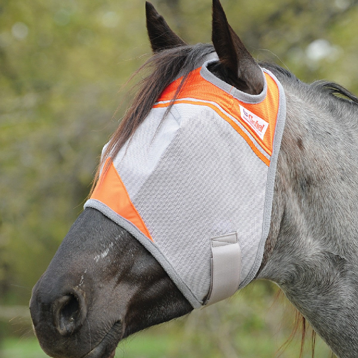 Cashel Crusader Fly Mask