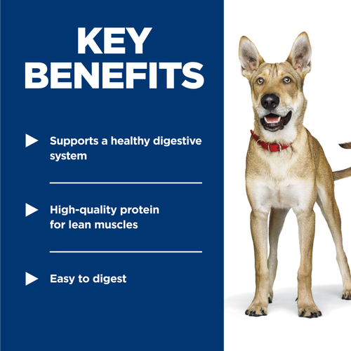 Hill's Science Diet Adult Savory Stew with Beef & Vegetables Dog Food