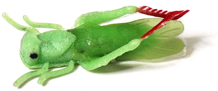 Burke Green Grasshopper