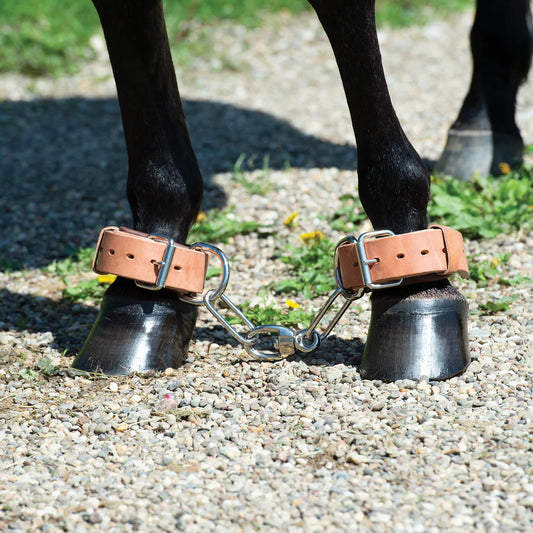 Weaver Heavy-Duty Leather Hobble