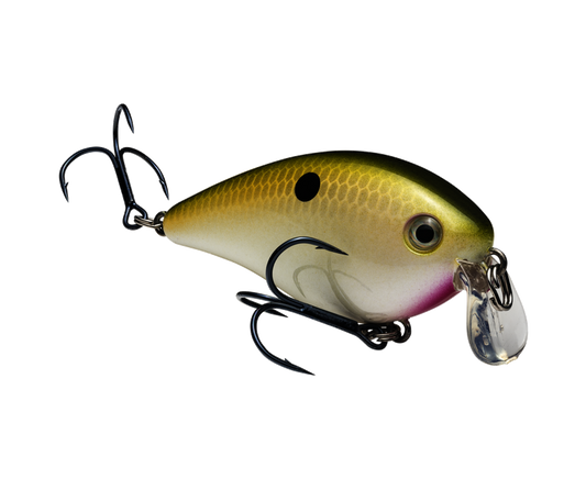 Strike King KVD Squarebill 1.5 Shallow Crankbait