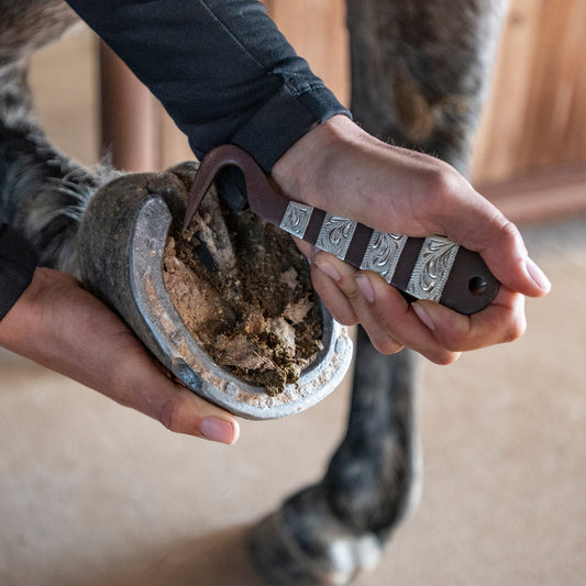 Cashel Silver Stripe Hoof Pick