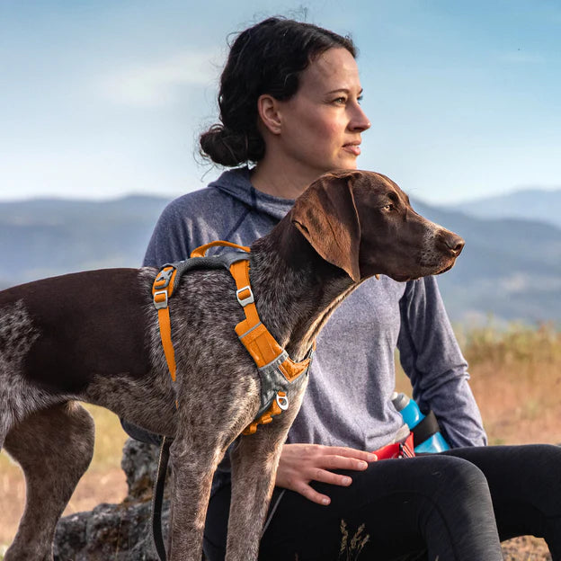 Kurgo Journey Air Dog Harness