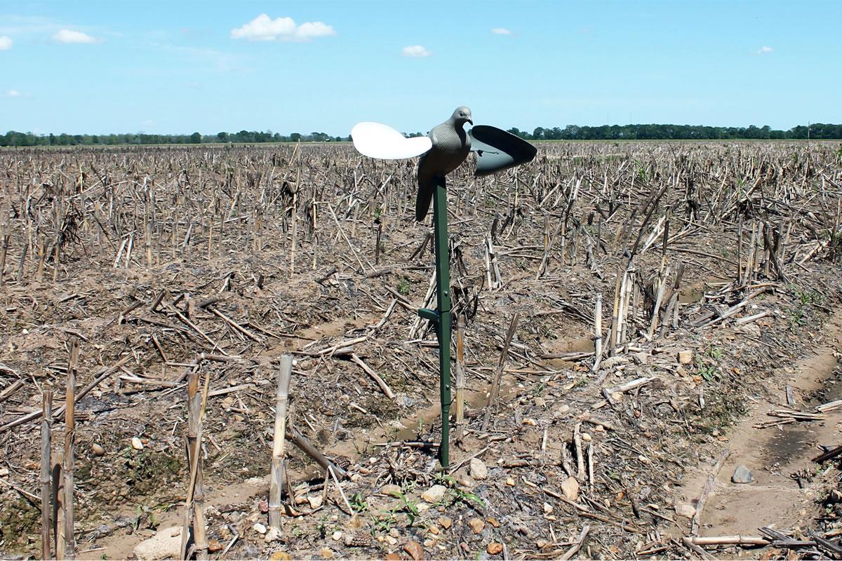 MOJO Wind Dove Decoy