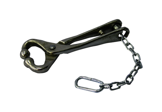 Ideal Bull Lead with Chain