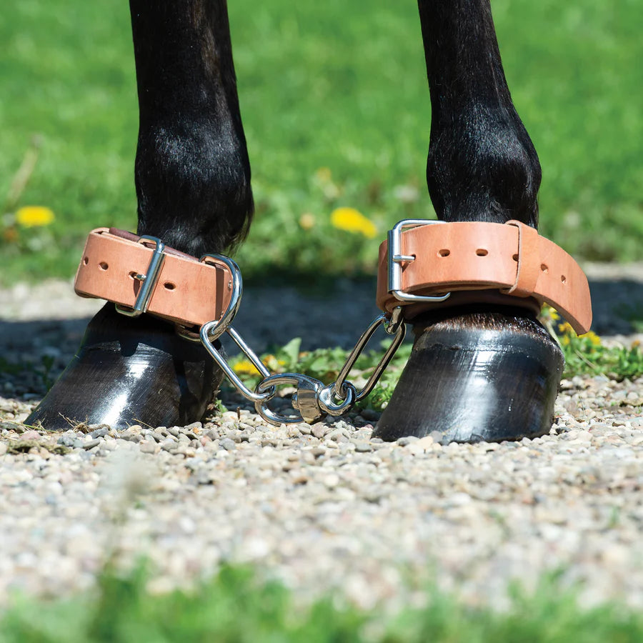 Weaver Heavy-Duty Leather Hobble