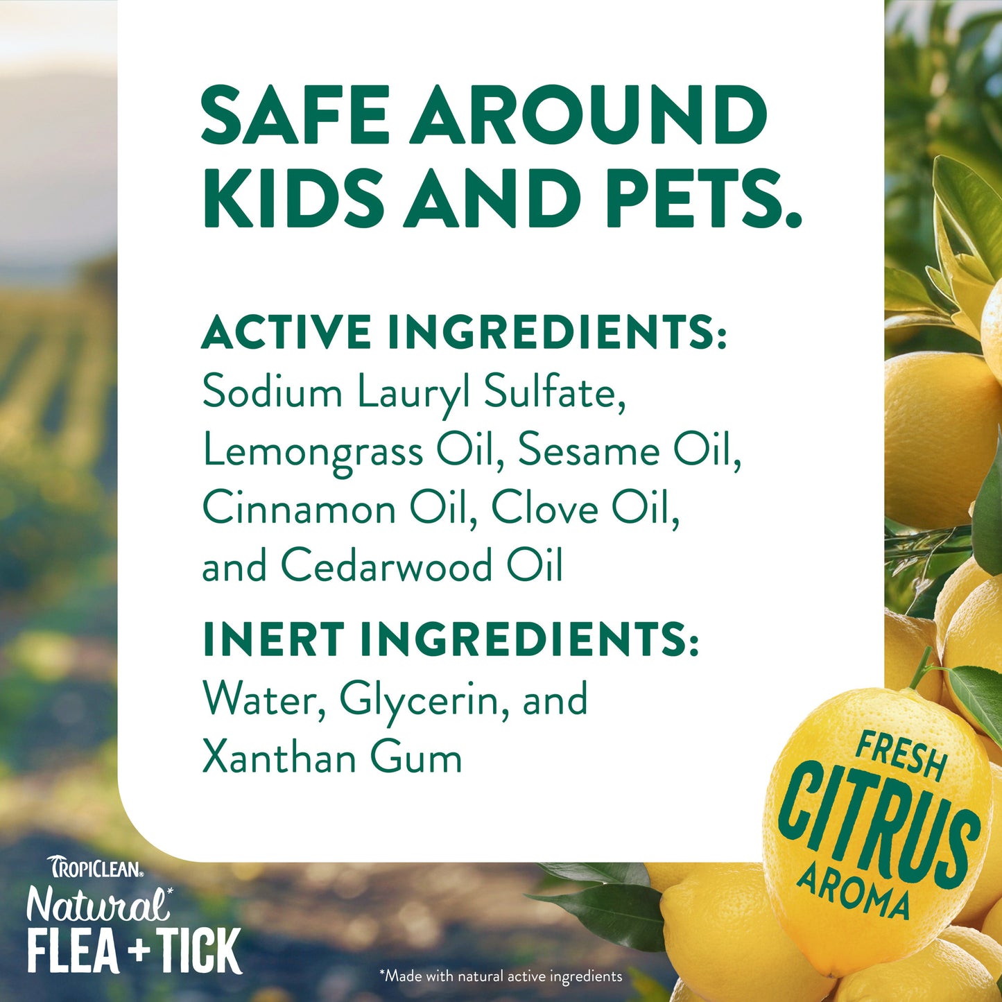 TropiClean Flea & Tick Maximum Strength Shampoo for Dogs