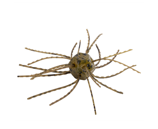 Strike King Tumbleweed Floating