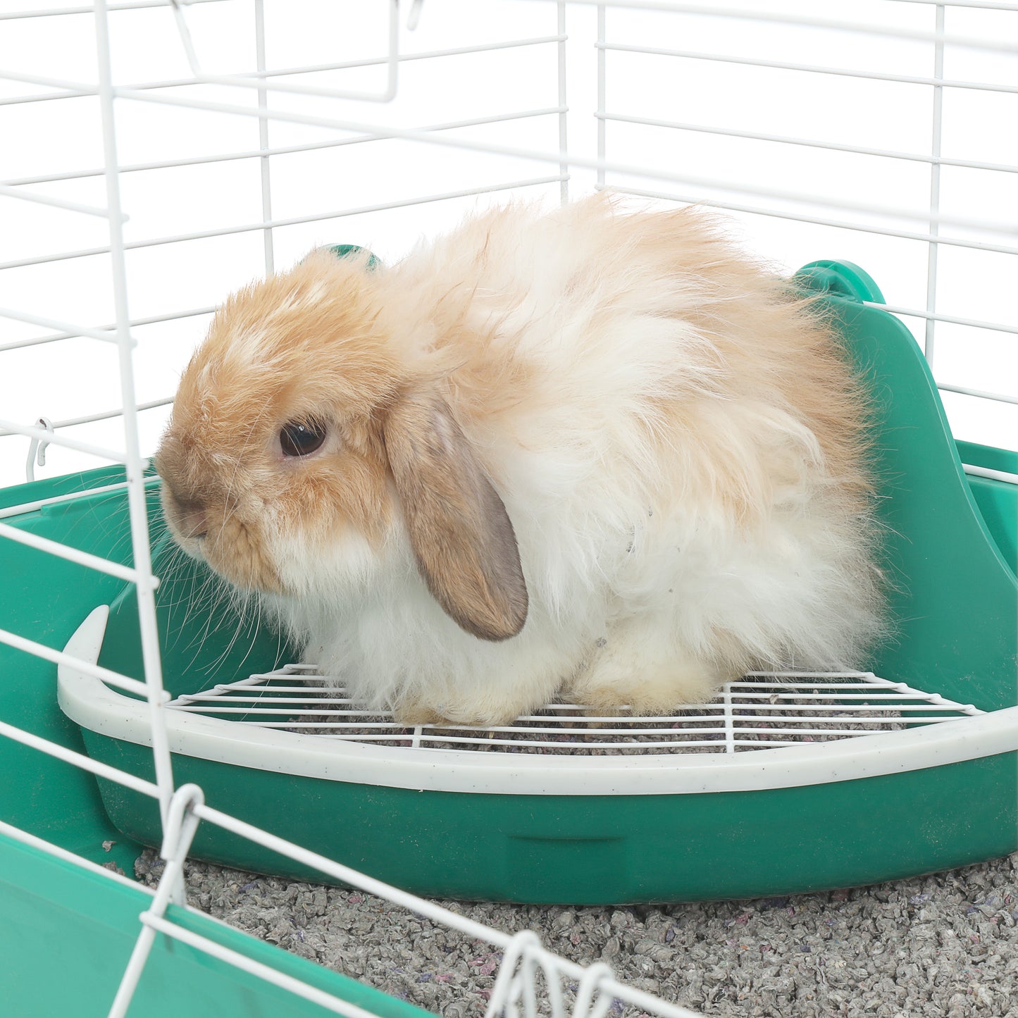 Ware Scatterless Litter Pan