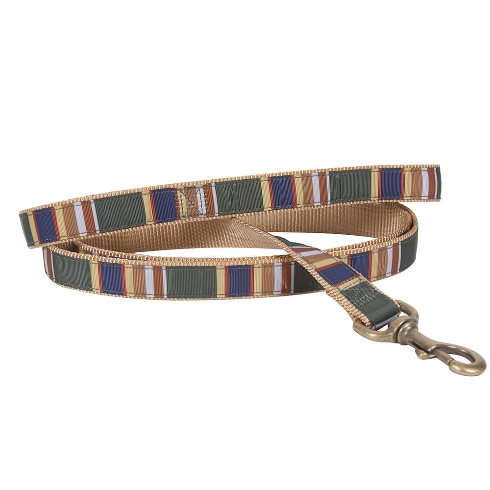 National Park Hiker Leash Badlands