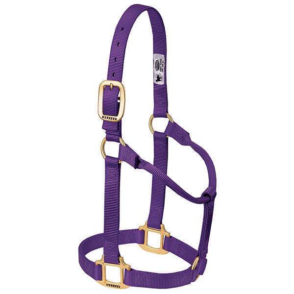 Original Non-Adjustable Halter, 1"