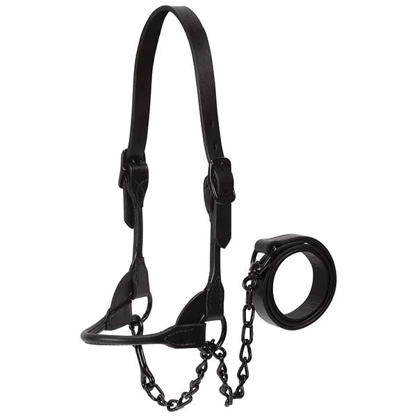 Weaver Black Magic Show Halter