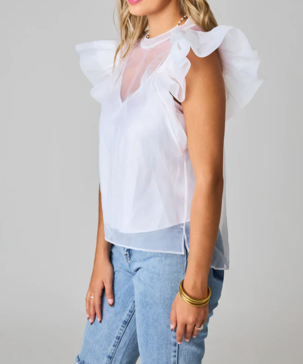 Buddy Love Kaycee Organza Ruffle Sleeve Top