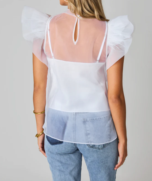 Buddy Love Kaycee Organza Ruffle Sleeve Top