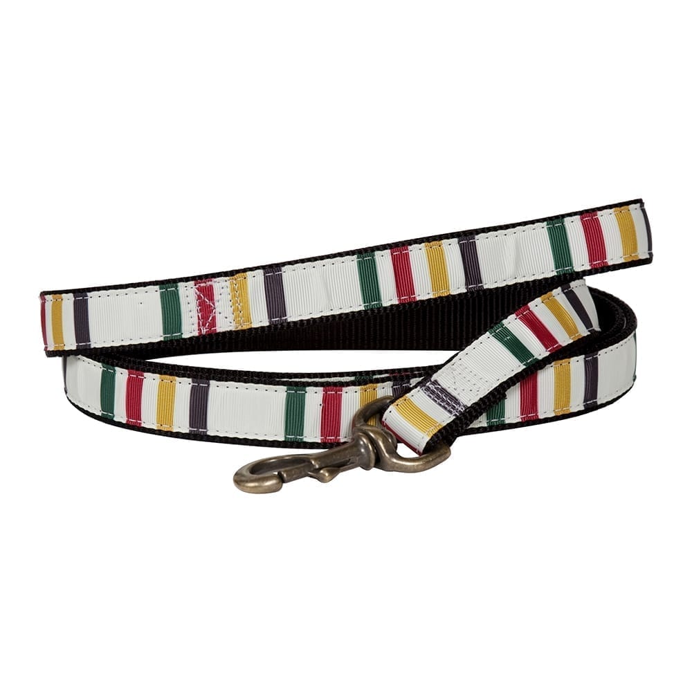 National Park Hiker Leash Glacier