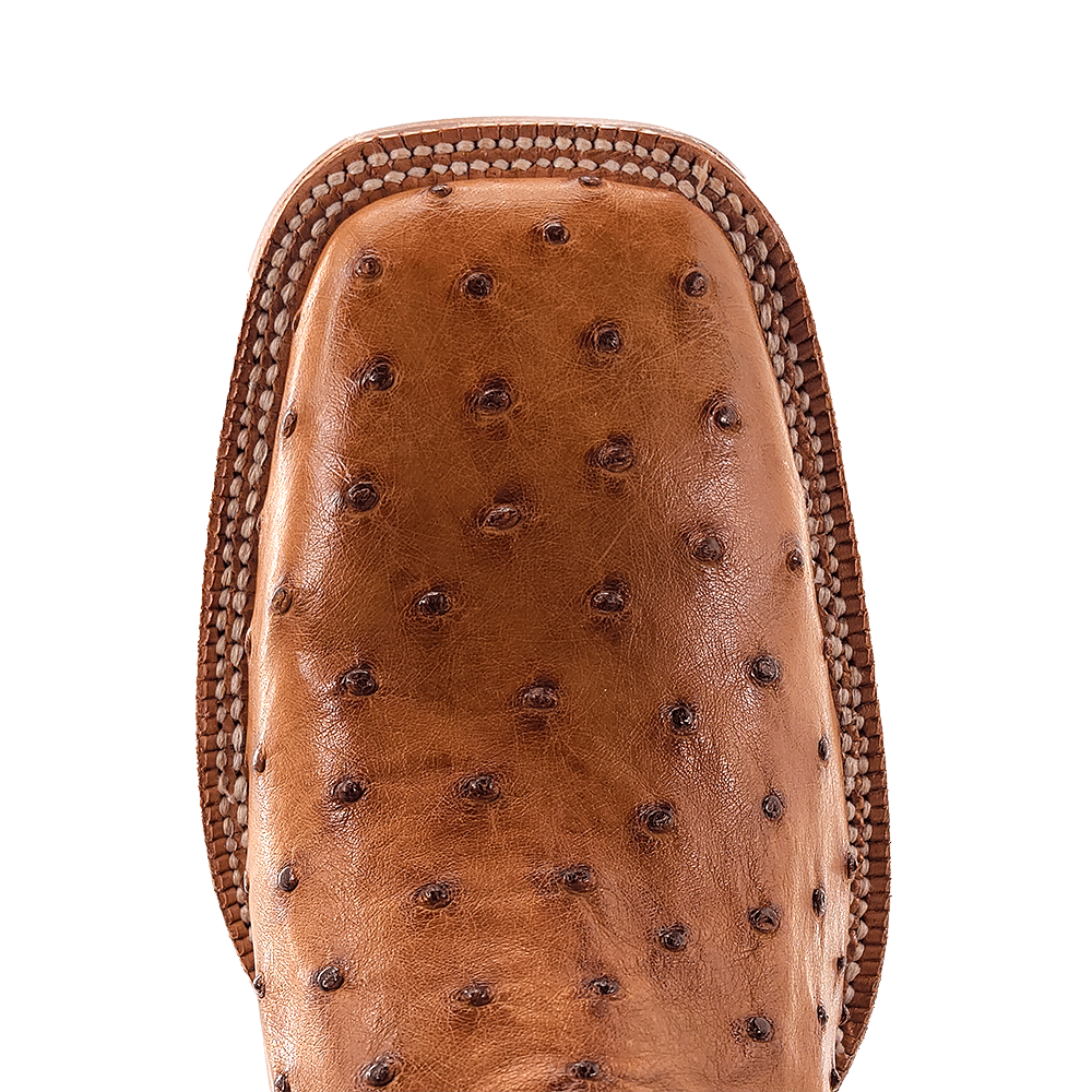 R. Watson Antique Saddle Bruciato Full Quill Ostrich Boot