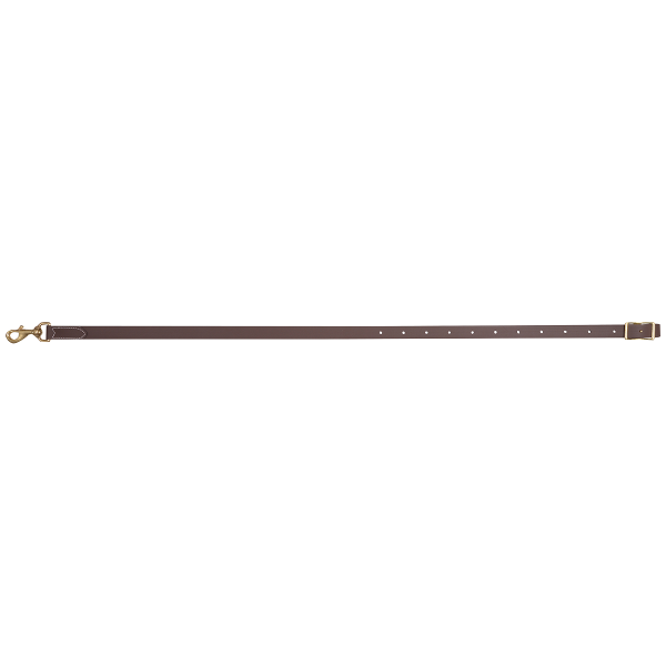 Martin Saddlery Biothane Tiedown Strap