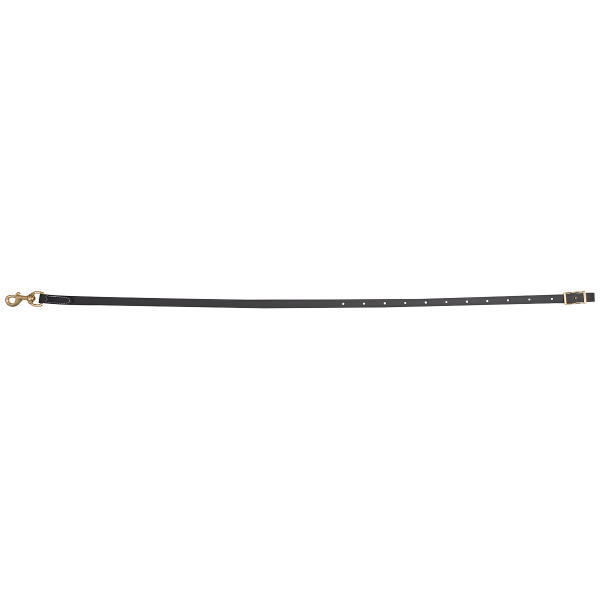 Martin Saddlery Biothane Tiedown Strap