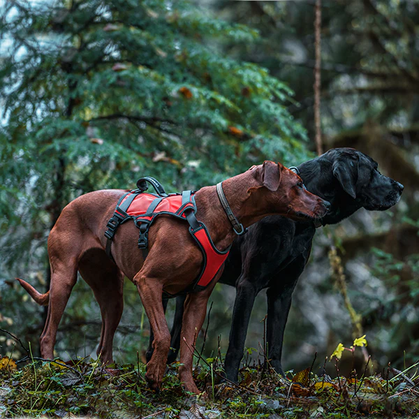 Weaver High-Vis Harness