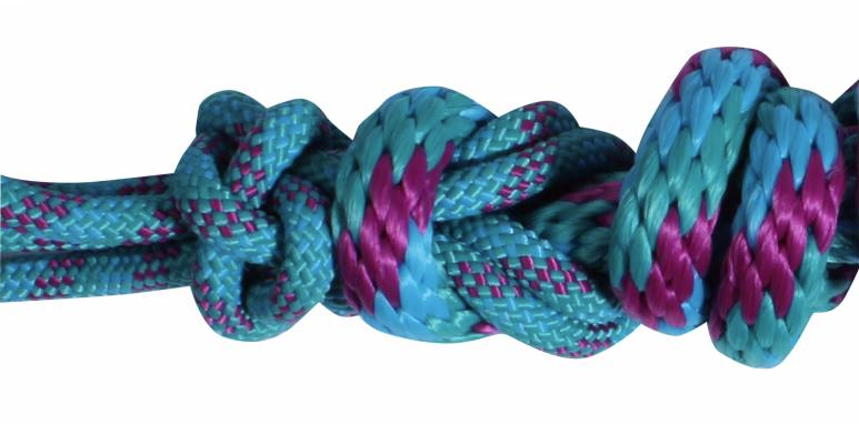 Rope Halter with 10' Lead Teal/Pink