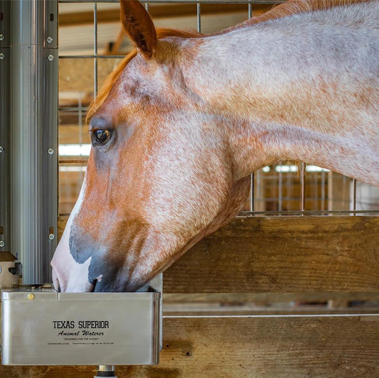 Texas Superior Automatic Animal Stainless Steel Waterer