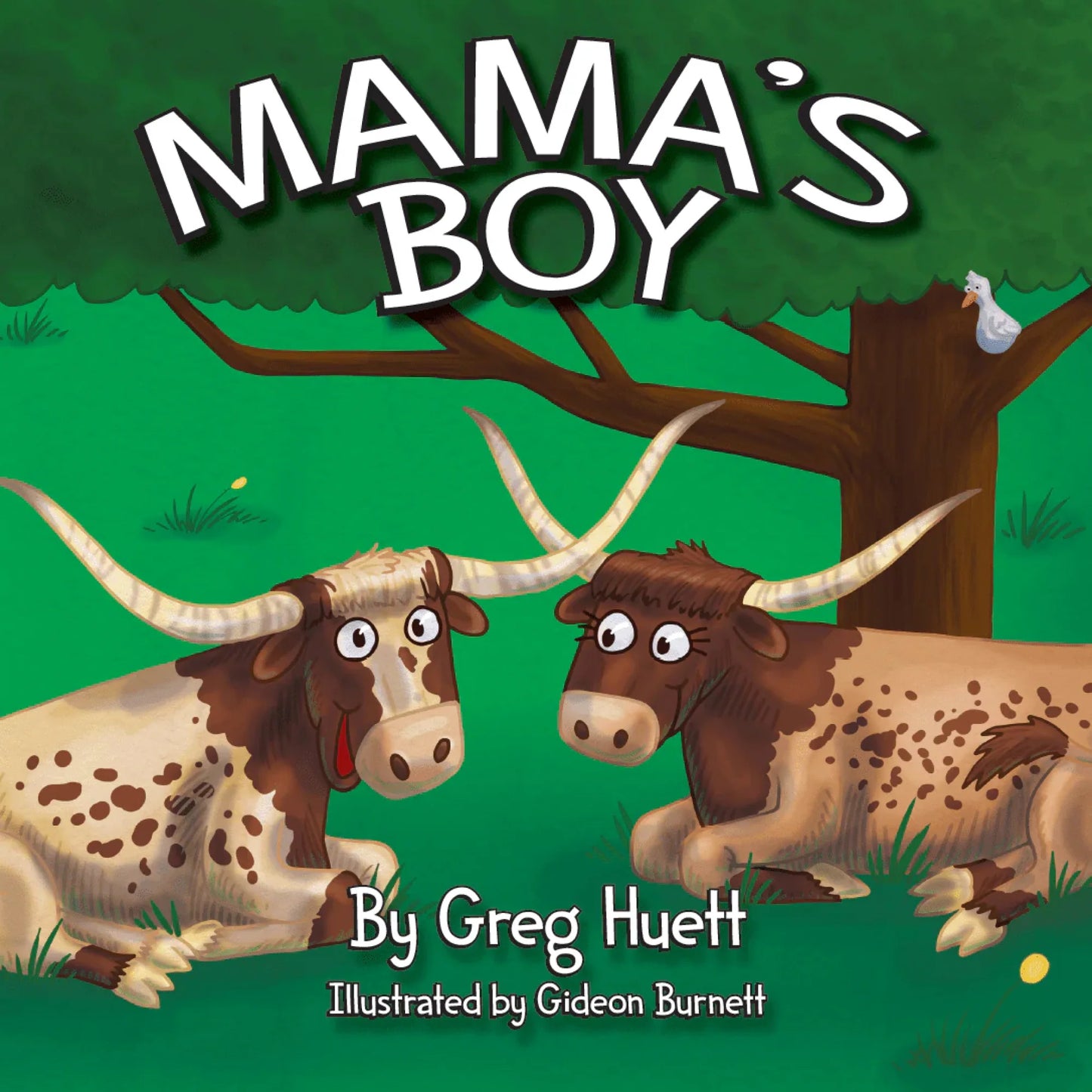 Big Country "Mama's Boy" Book