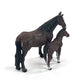 Big Country Four Sixes Ranch Quarter Horse Mare & Colt