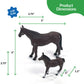 Big Country Four Sixes Ranch Quarter Horse Mare & Colt