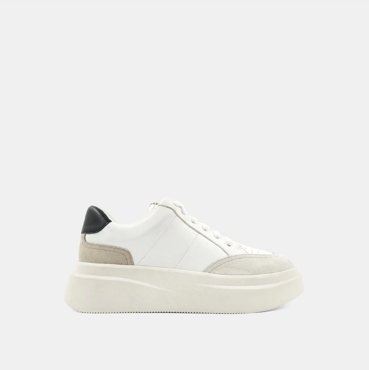 ShuShop Womens Skylar Shoe 5.5