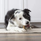 Milk-Bone Brushing Chews Daily Dental Dog Treats