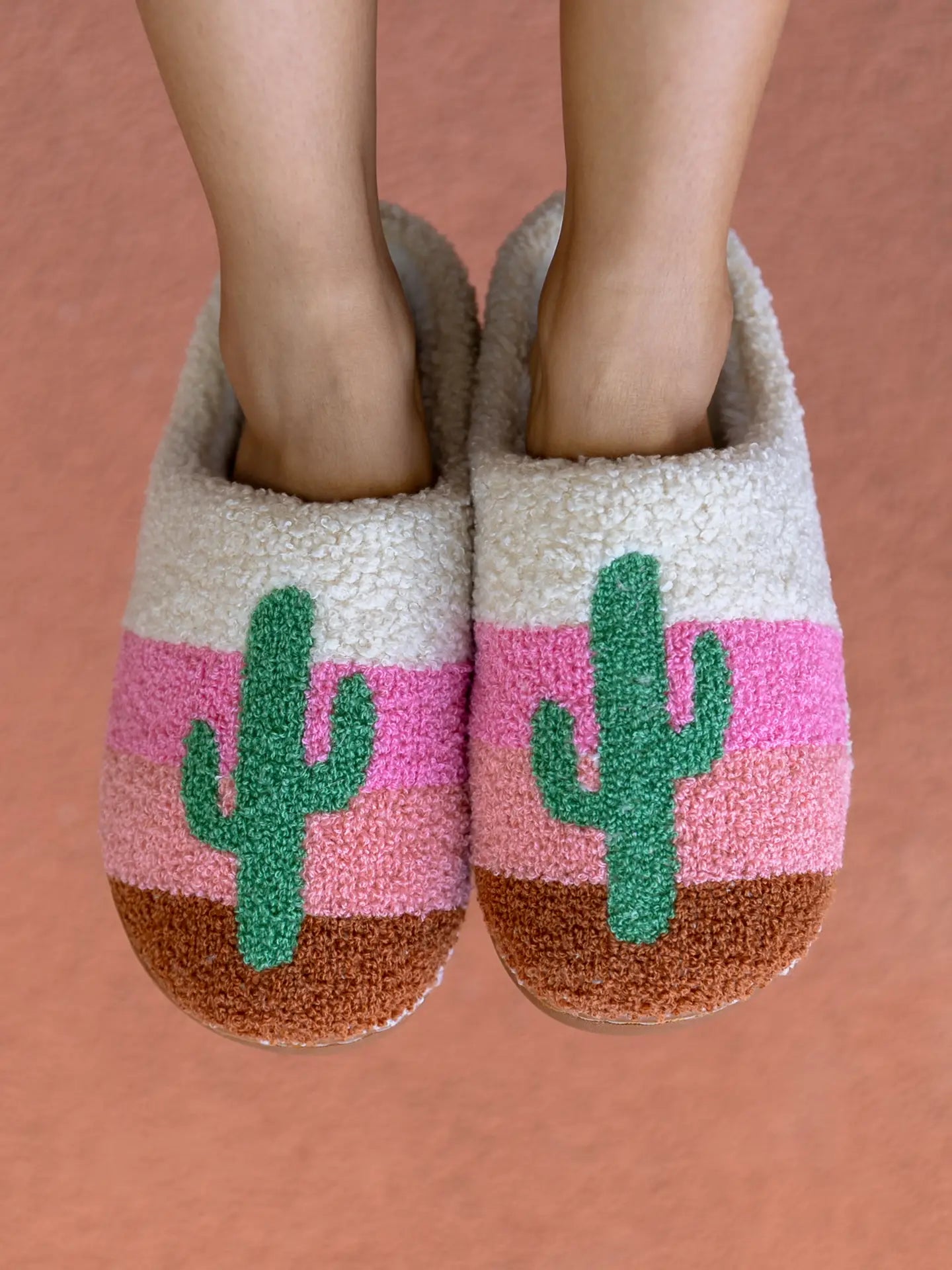 Cactus in a Desert Slippers