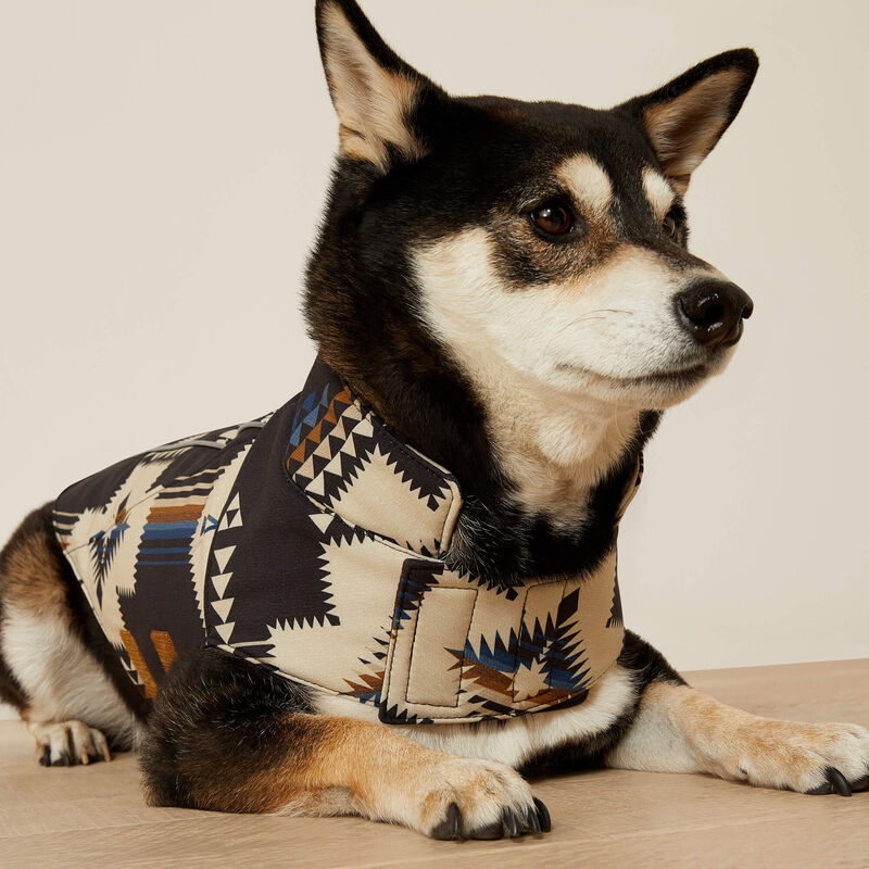 Ariat Team Softshell Dog Jacket in Thornstone