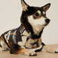 Ariat Team Softshell Dog Jacket in Thornstone