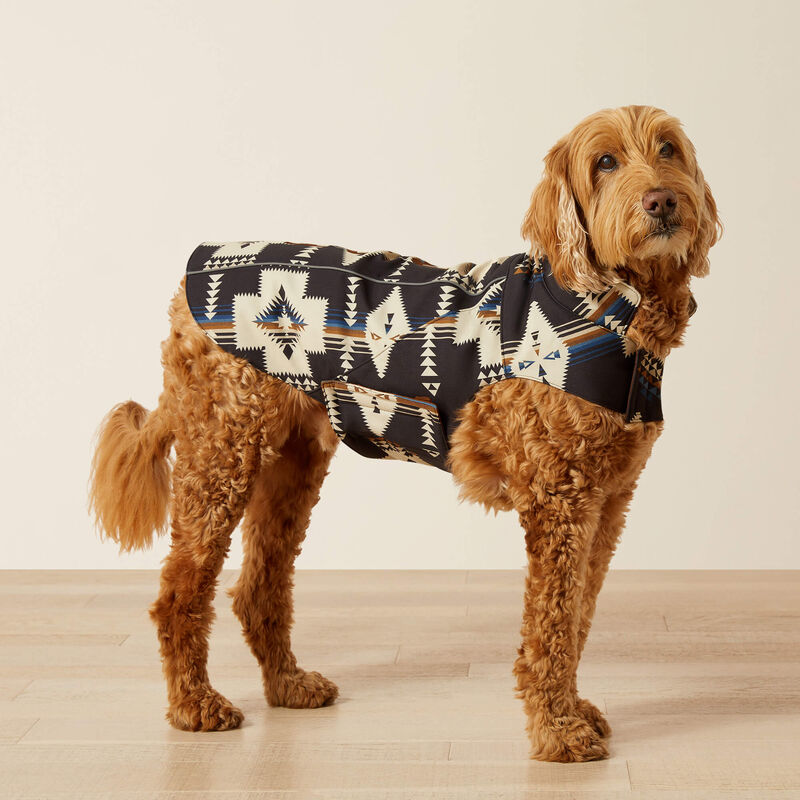 Ariat Team Softshell Dog Jacket in Thornstone