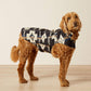 Ariat Team Softshell Dog Jacket in Thornstone