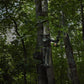 Sitka Core Lightweight Hoodie in Optifade Cover