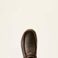 Ariat Spitfire Shoe in Mahogany Elephant Print