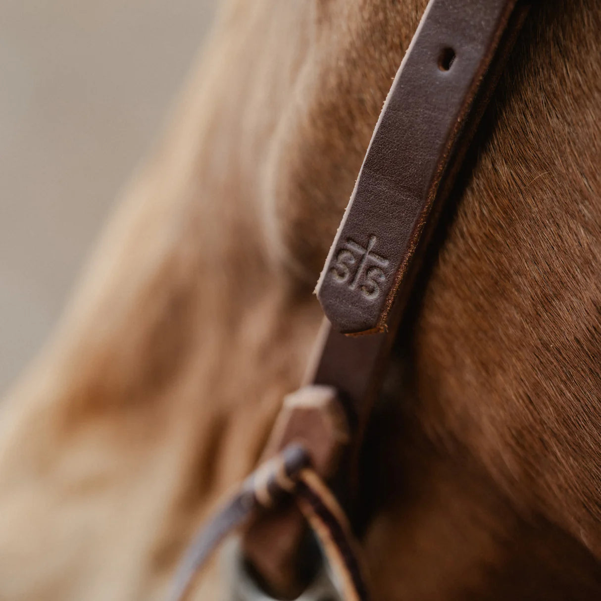 Weaver STS Ranch Signature Tack Harness Leather Browband Headstall with Ranger Buckle, 3/4"