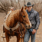 Weaver STS Ranch Signature Tack Harness Leather Split Ear Headstall with Ranger Buckle, 3/4"