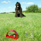 Prestige Extreme Anchor Dog Tie Out
