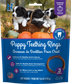 N-Bone Puppy Teething Rings-Pumpkin Flavor