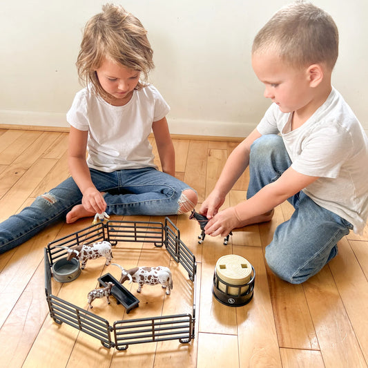 Big Country 12-Piece Ranch Set