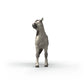Schleich Knabstrupper Gelding