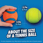 Chuckit! Ultra Ball Dog Toy 2-Pack