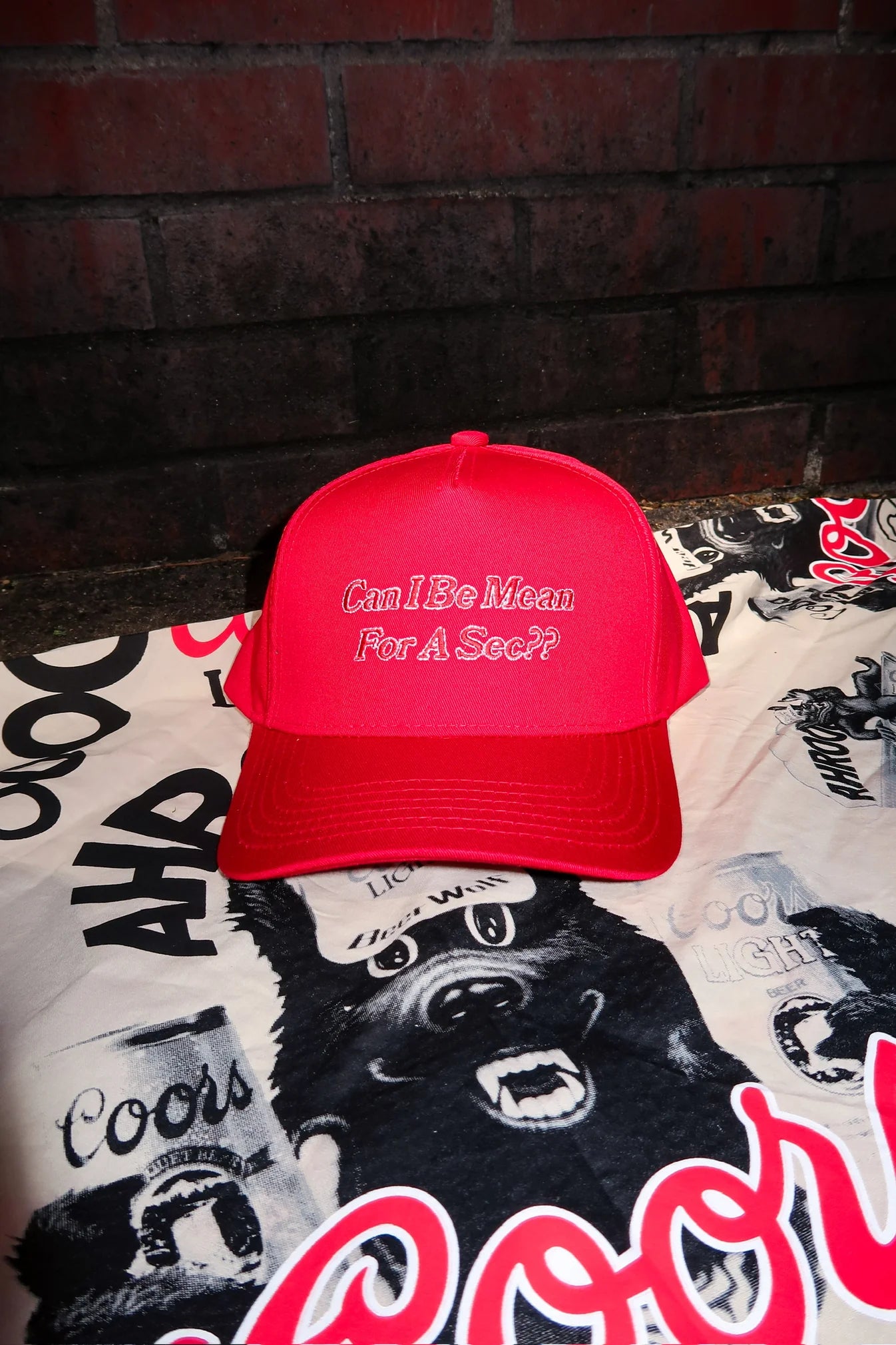 Can I Be Mean for a Sec Hat