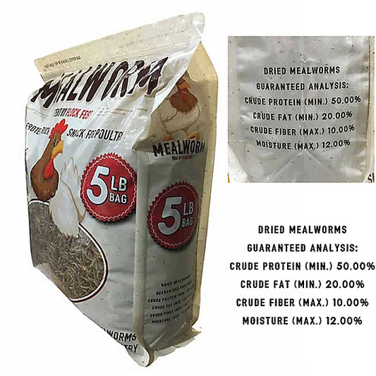 Flock Fest Dried Mealworms