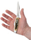 Case Peach Seed Jig Amber Bone Carbon Steel Large Stockman