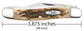 Case Peach Seed Jig Amber Bone Stockman