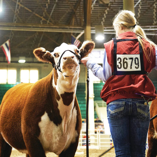 Weaver Nylon Exhibitor Number Harness